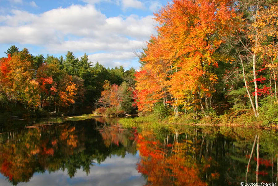 Photo of autumn leaves reflected in the water