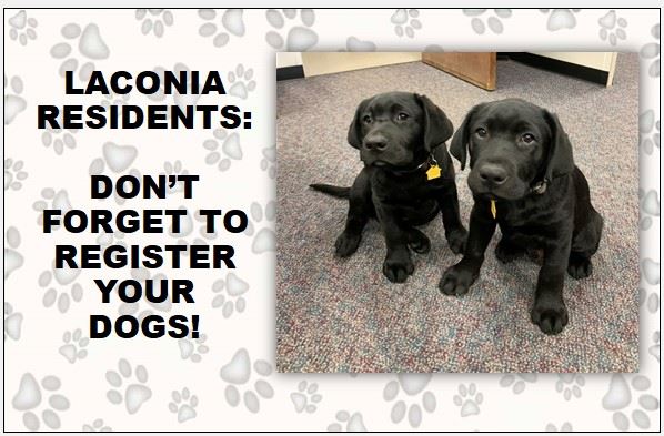 Dog Registration