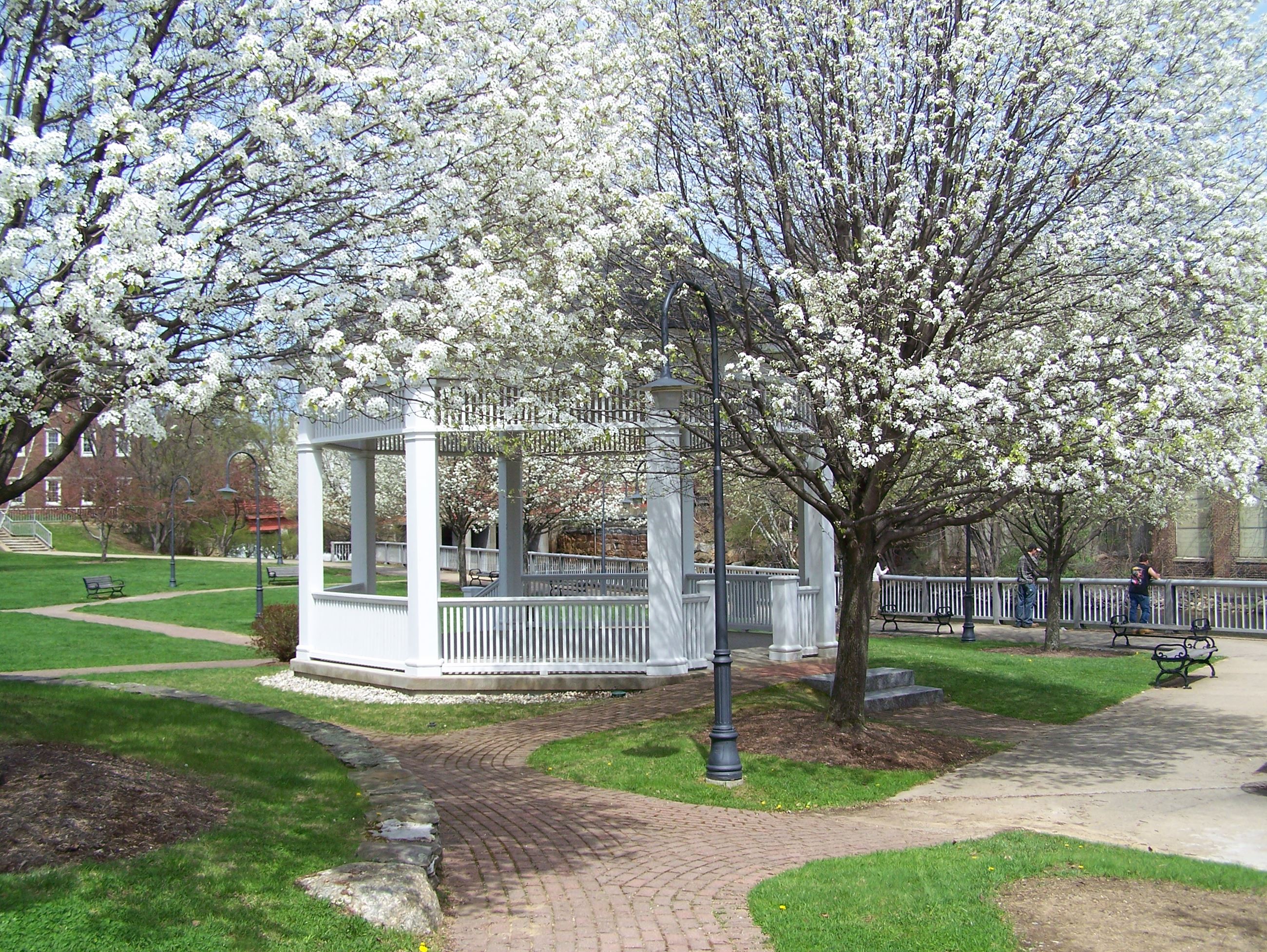 A photo of Rotary Park gazebo